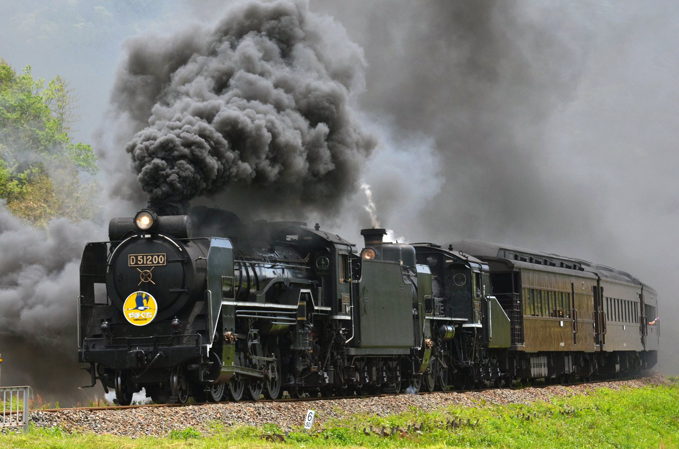 Hitachi D51 – photo 3