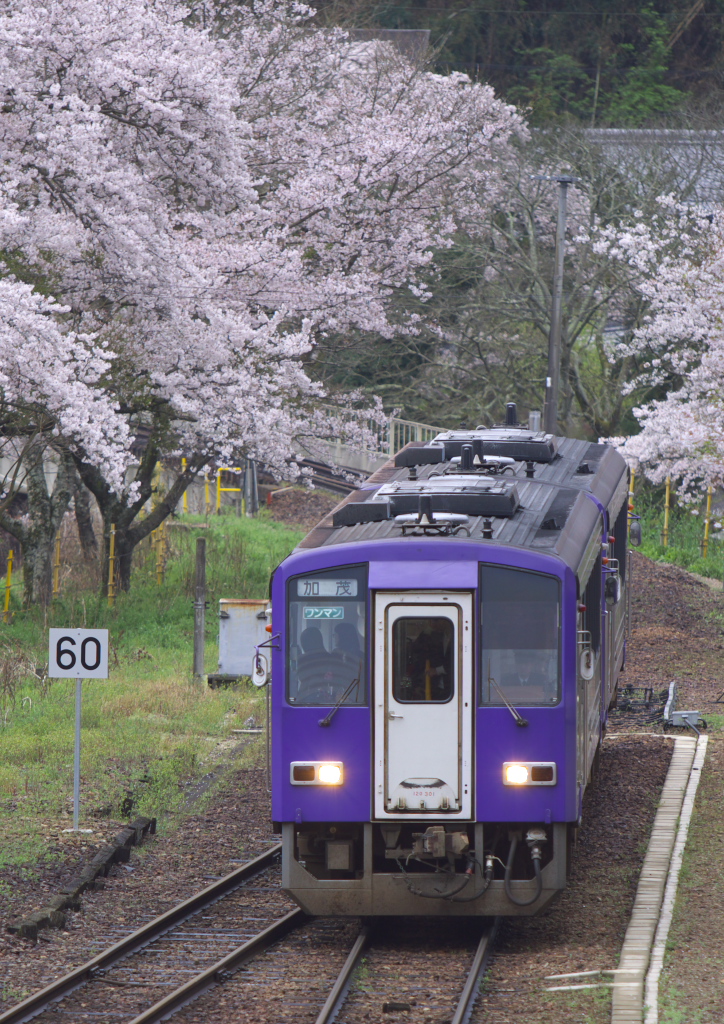 JR West Kiha 120-300 – photo 4