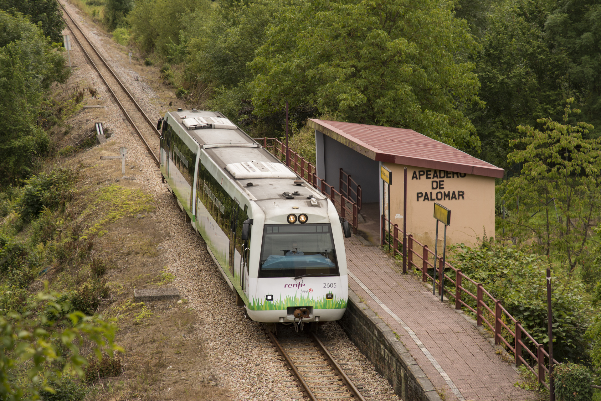 CAF FEVE 2600 – photo 13