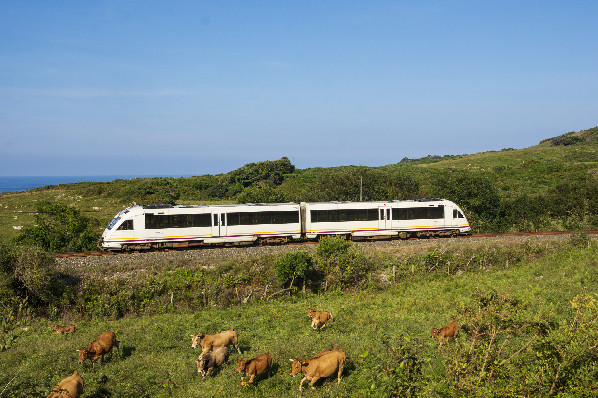 CAF FEVE 2700 – photo 11