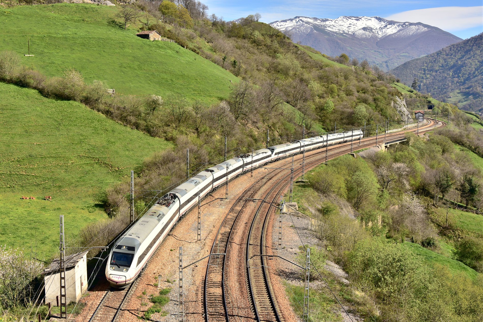 CAF RENFE 121 – photo 6