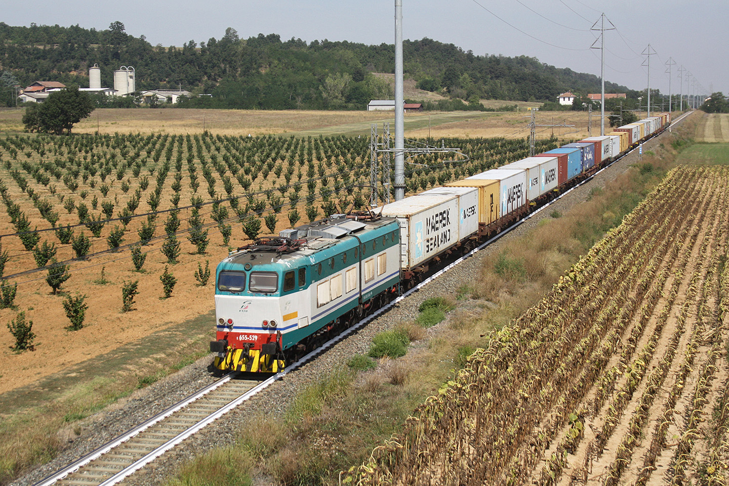 Ansaldo E655 – foto 11