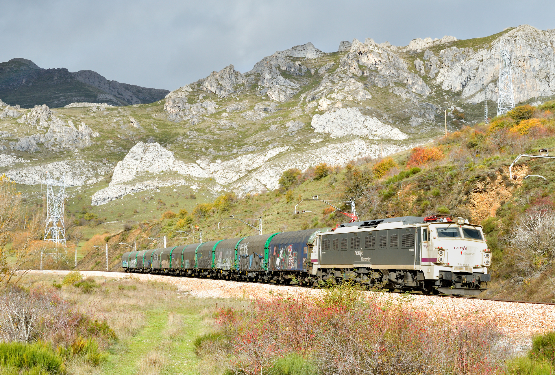 CAF RENFE 251 – photo 21