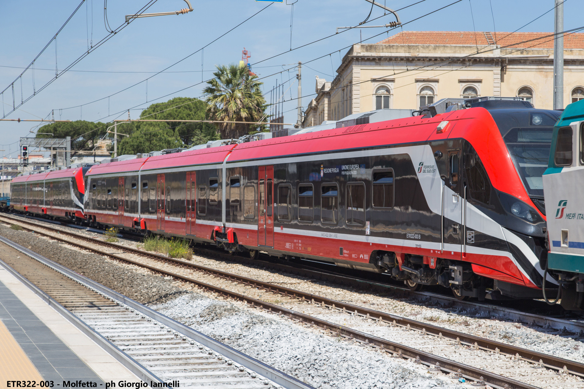 Newag 36WEb – foto 4