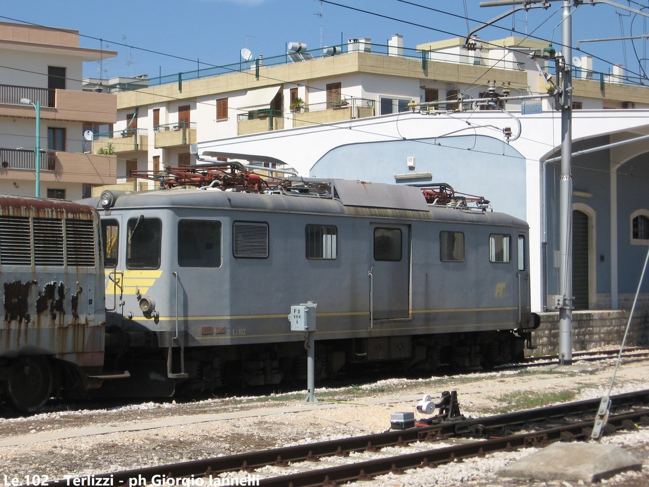TIBB FT Le – photo 2