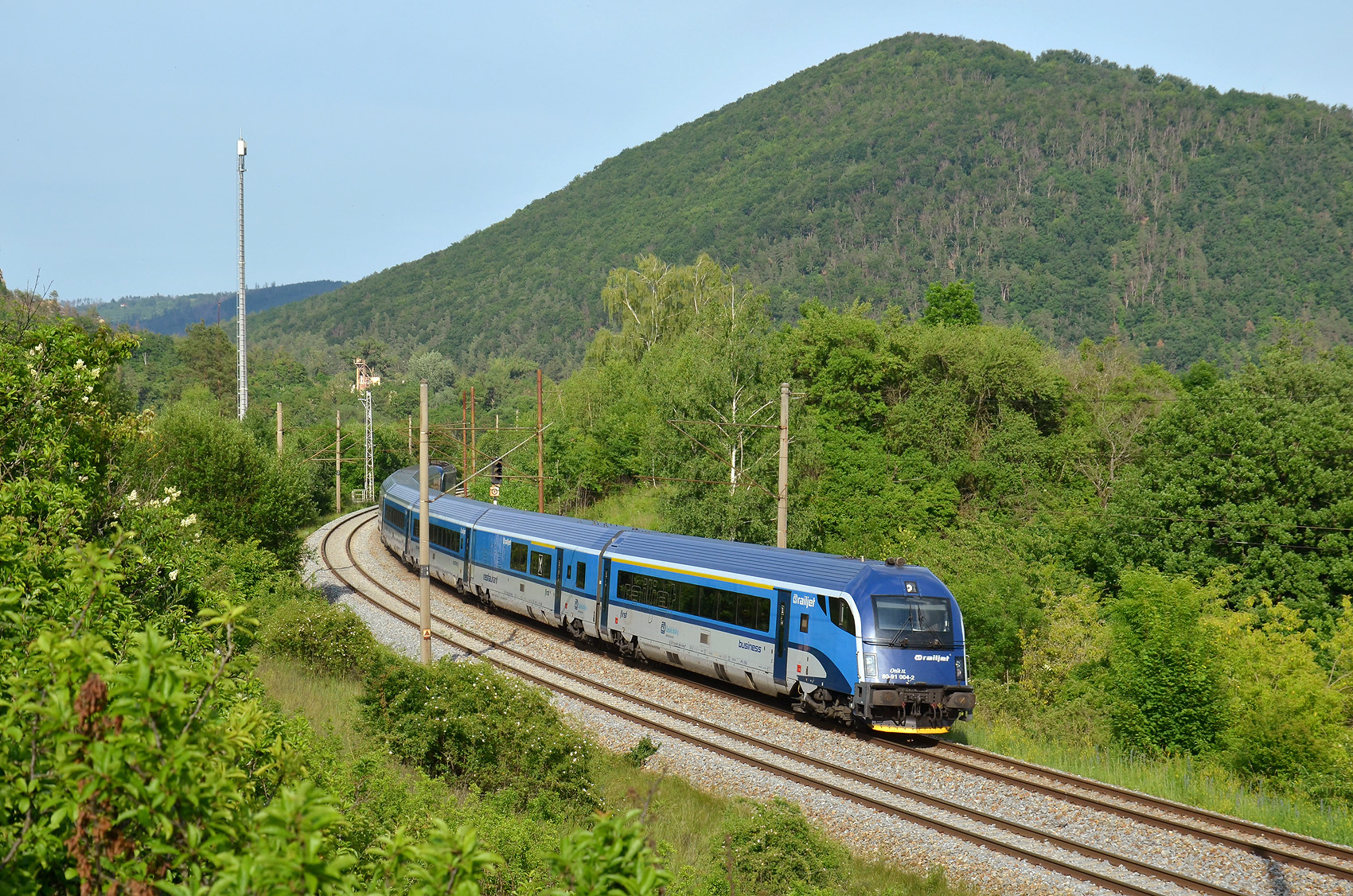 Siemens 80-91 – photo 4