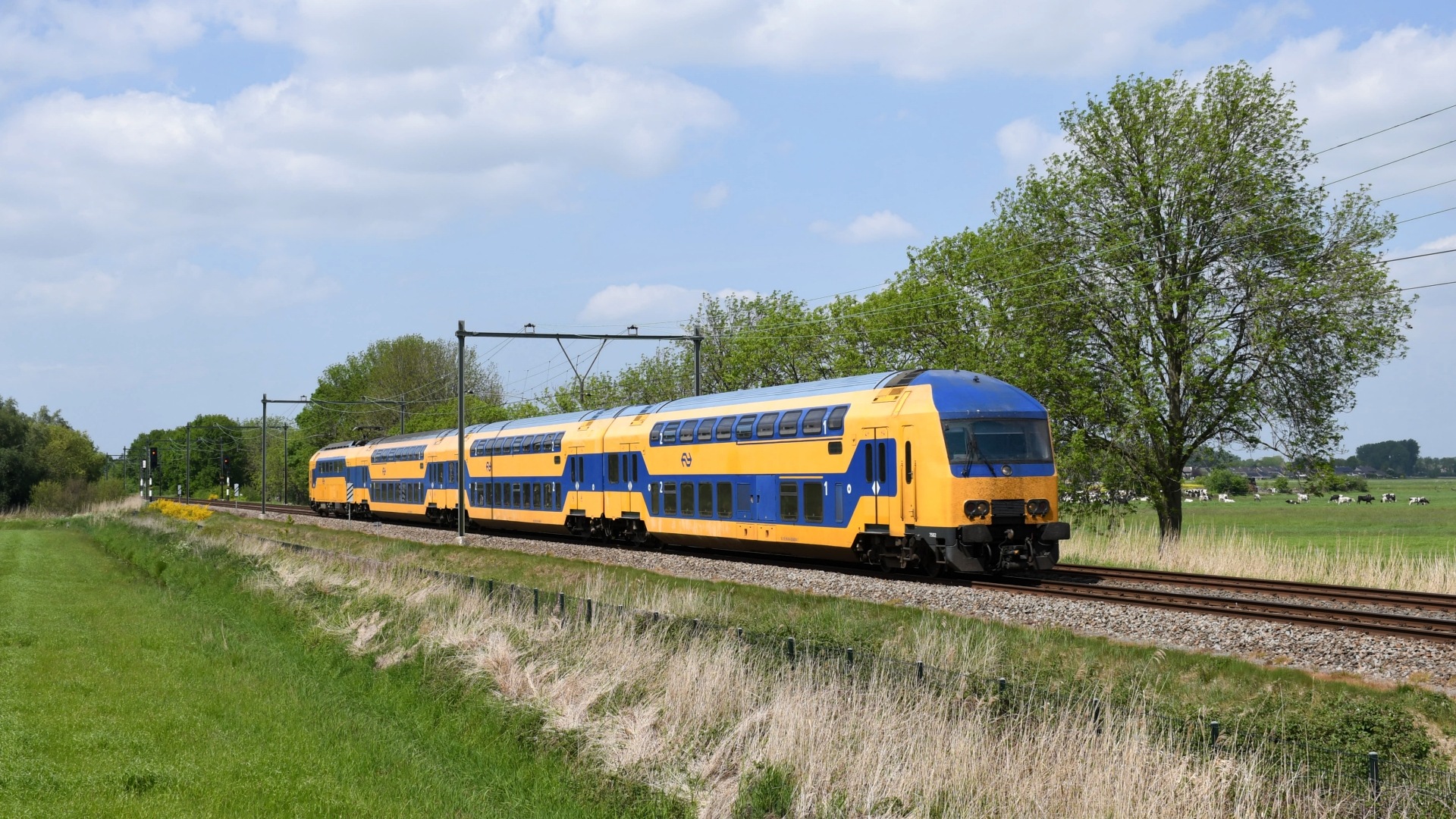 Adtranz NS DDZ – photo 5
