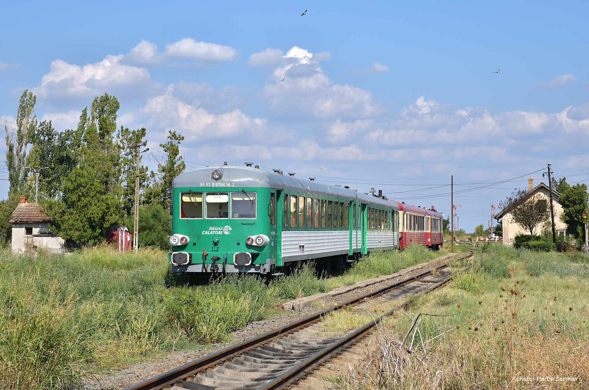 ANF X 4630 – photo 13