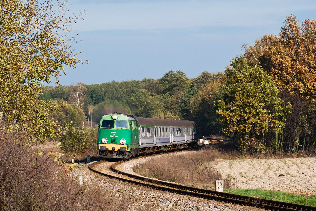 Cegielski 301D – photo 8