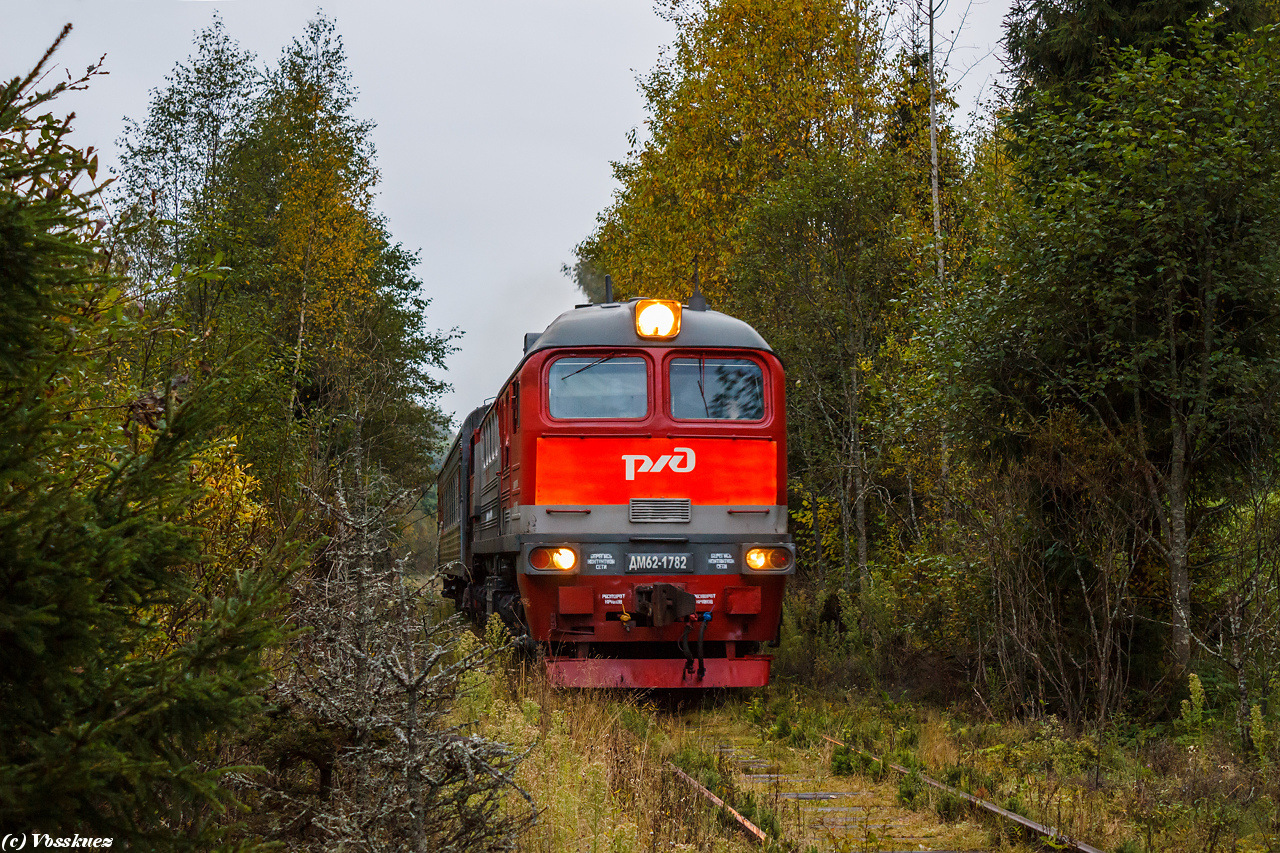 Luhanskteplovoz DM62 – photo 17