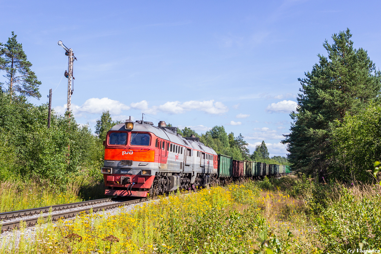 Luhanskteplovoz 3M62U – photo 14