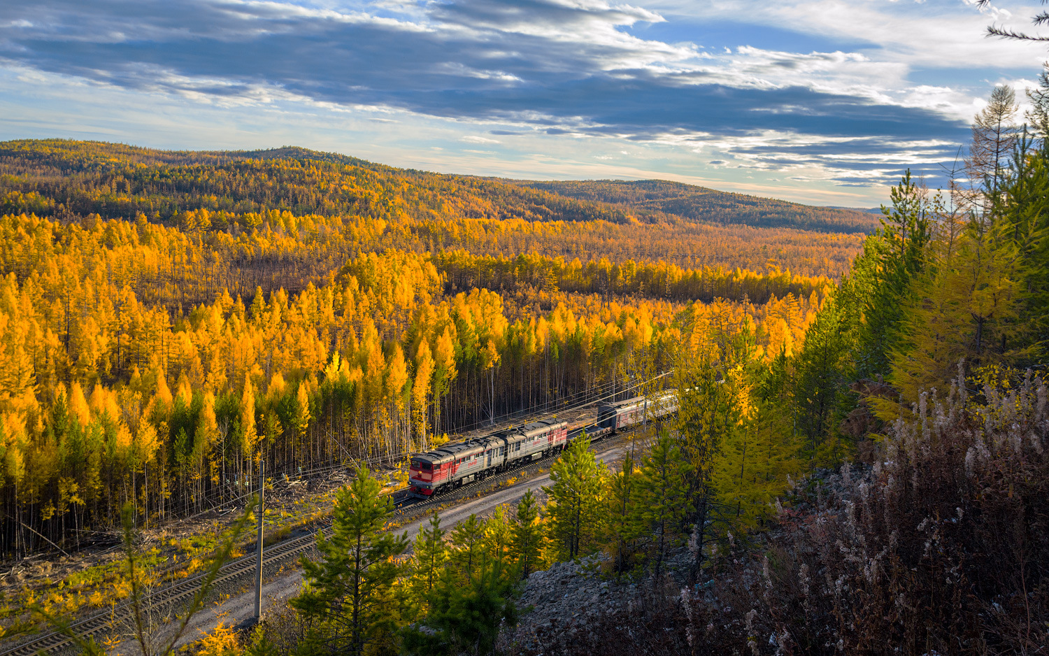 Luhanskteplovoz 2TE10UT – photo 4