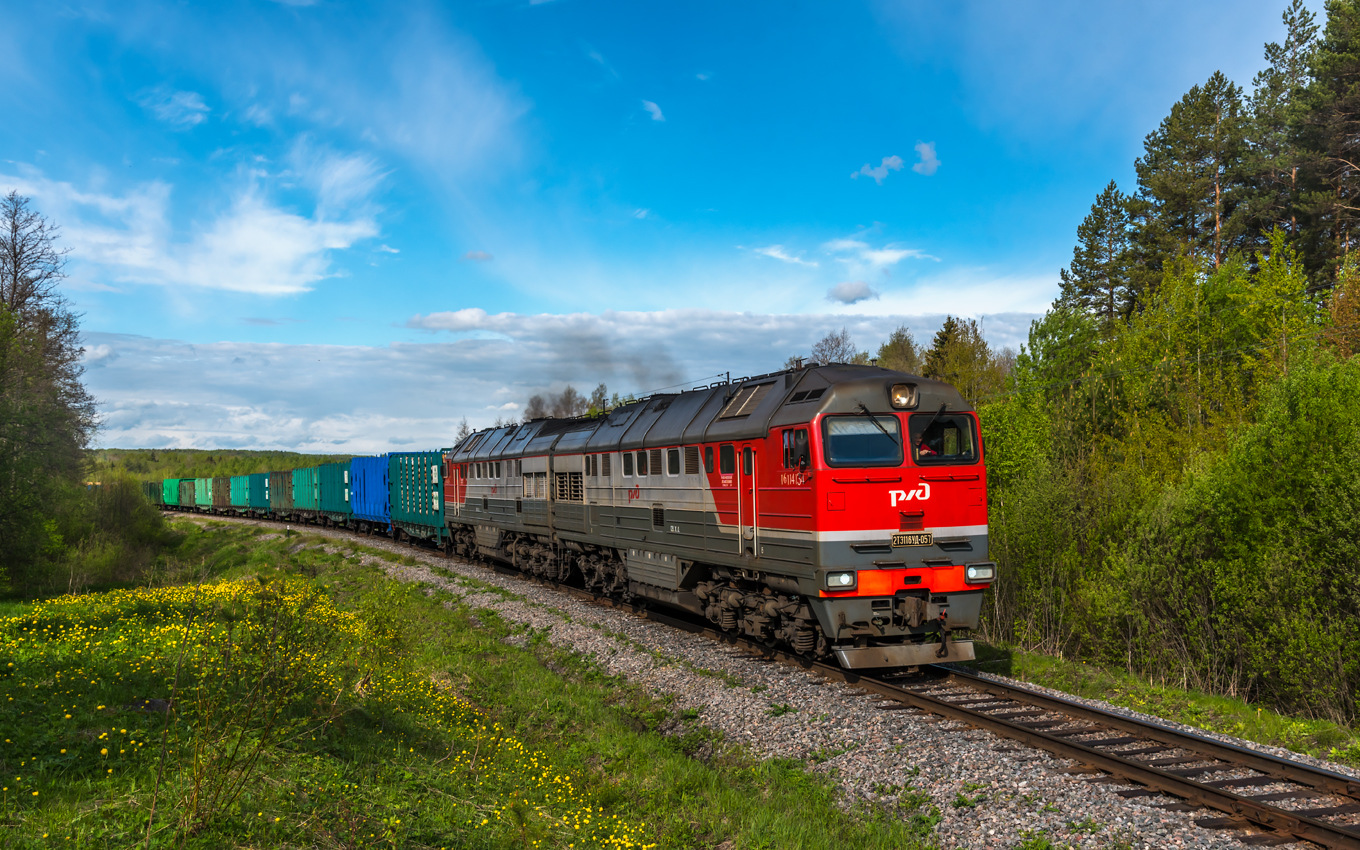 Luhanskteplovoz 2TE116UD – photo 19