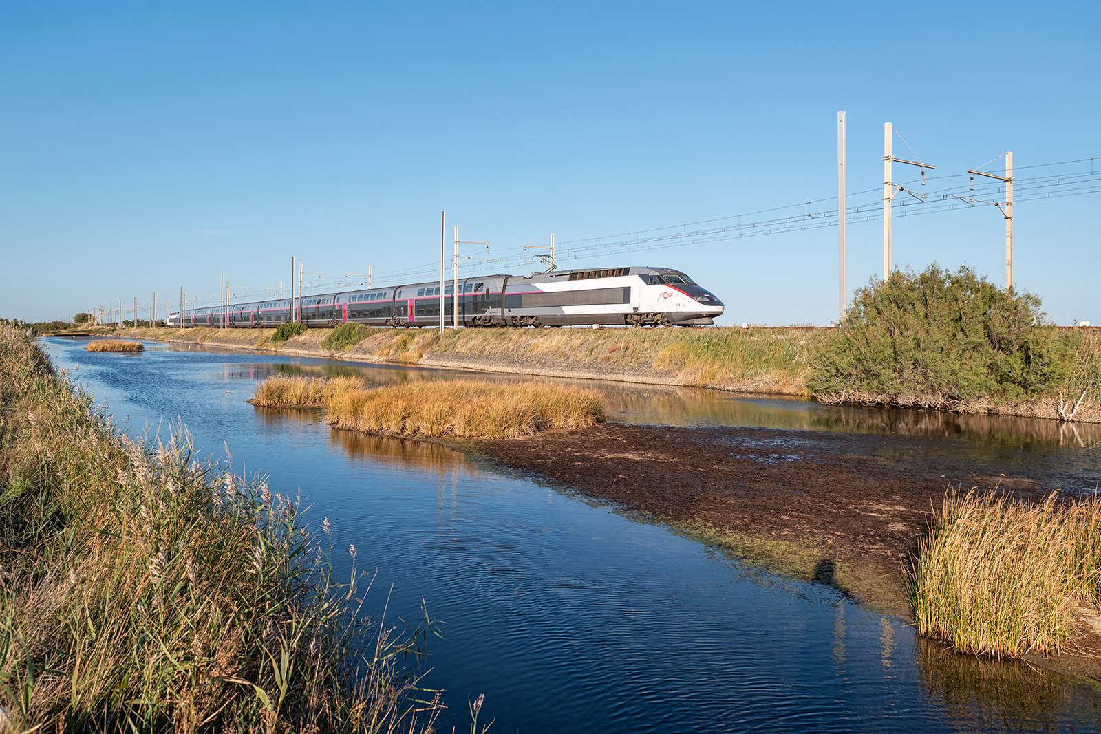 Alstom TGV-RD – photo 4