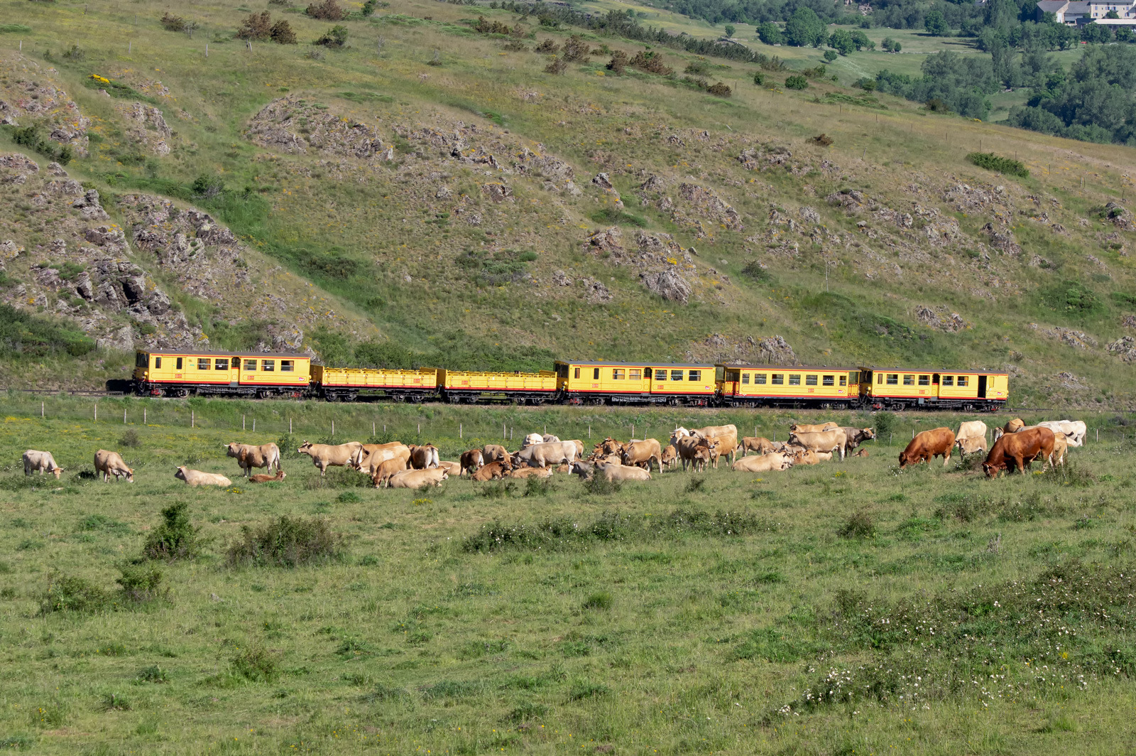 SACM SNCF Z 100 – foto 20