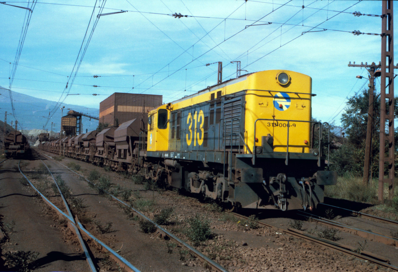 Euskalduna DL535S – foto 4