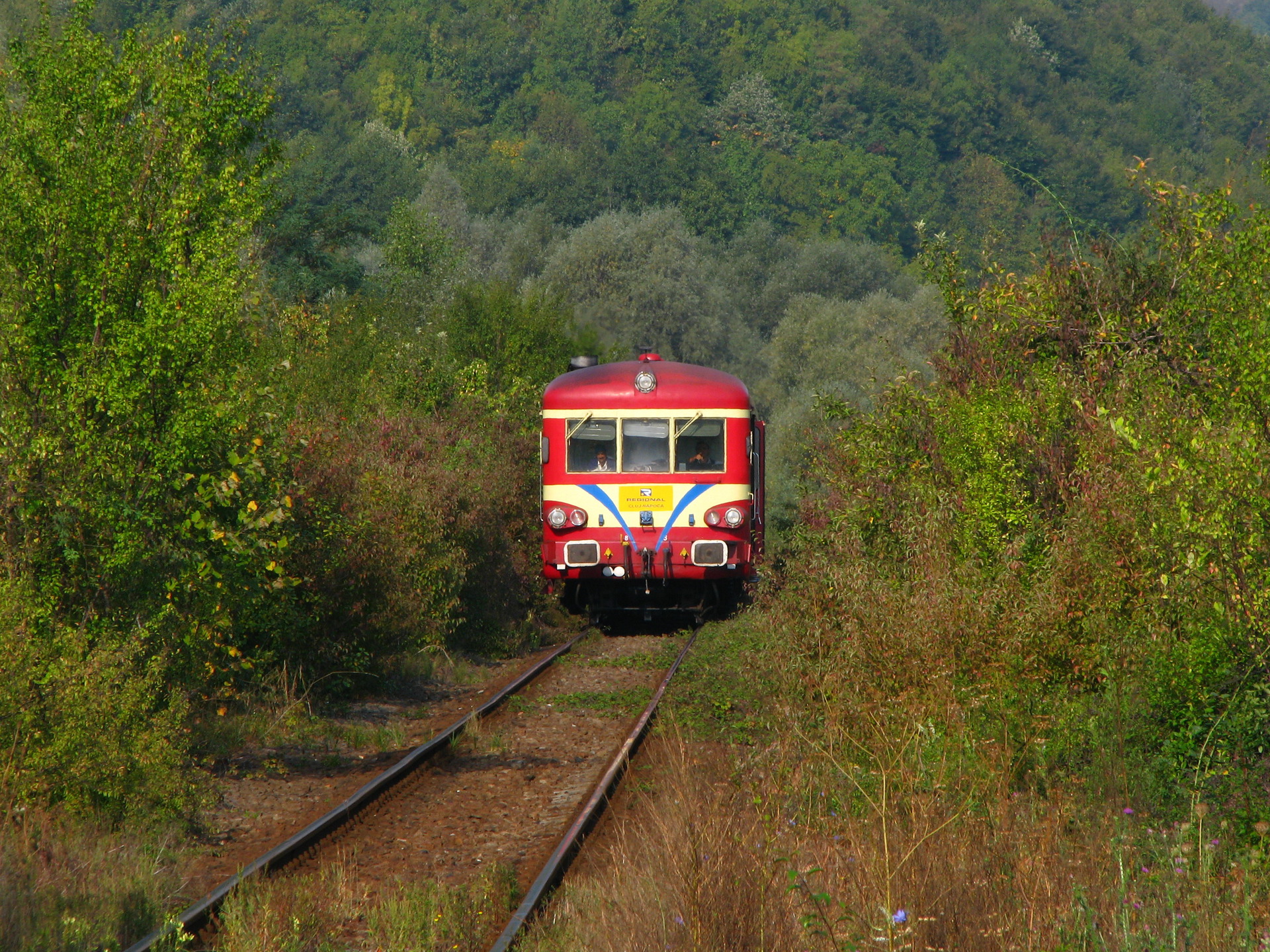 ANF X 4500 – photo 23