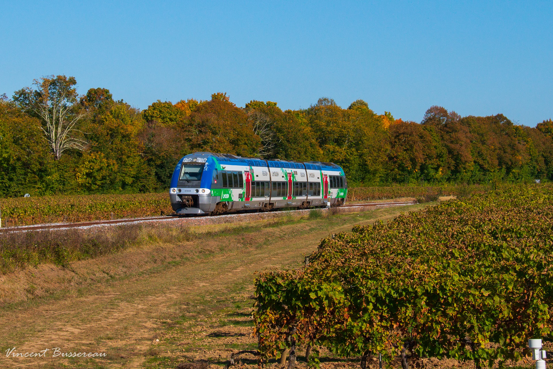 Bombardier B 81500 – photo 8