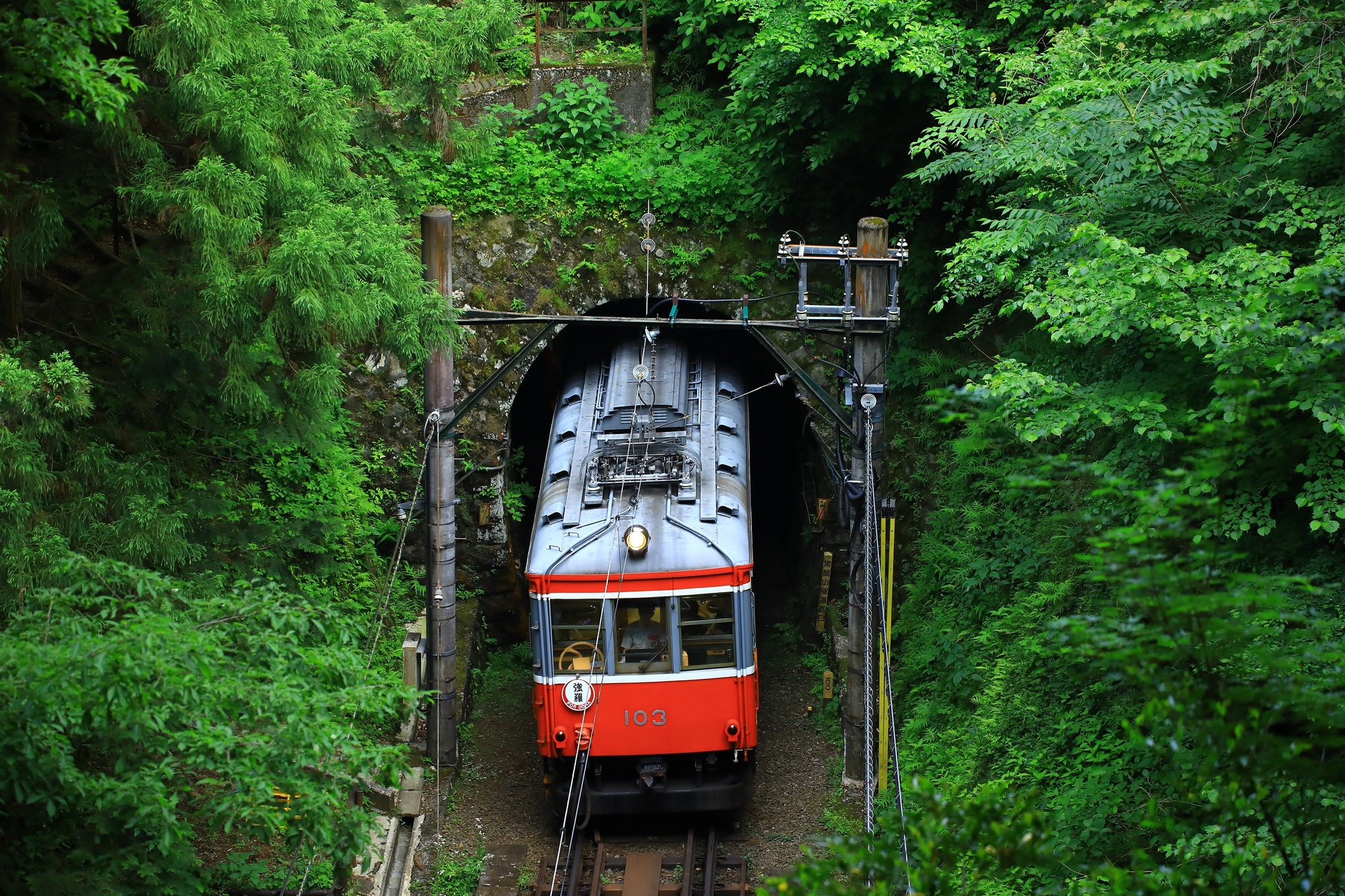 Tokyu Car Hakone Tozan Moha 1 – Foto 2