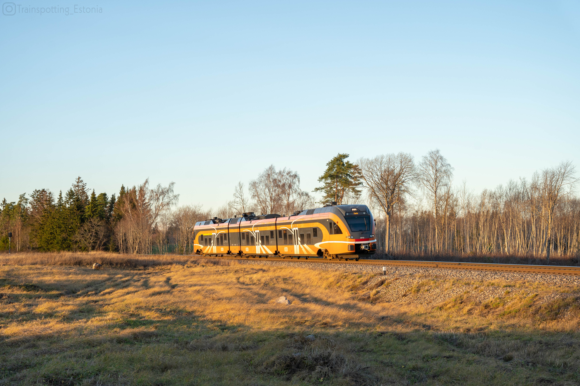 Stadler Flirt 3/8 1520 mm – photo 22