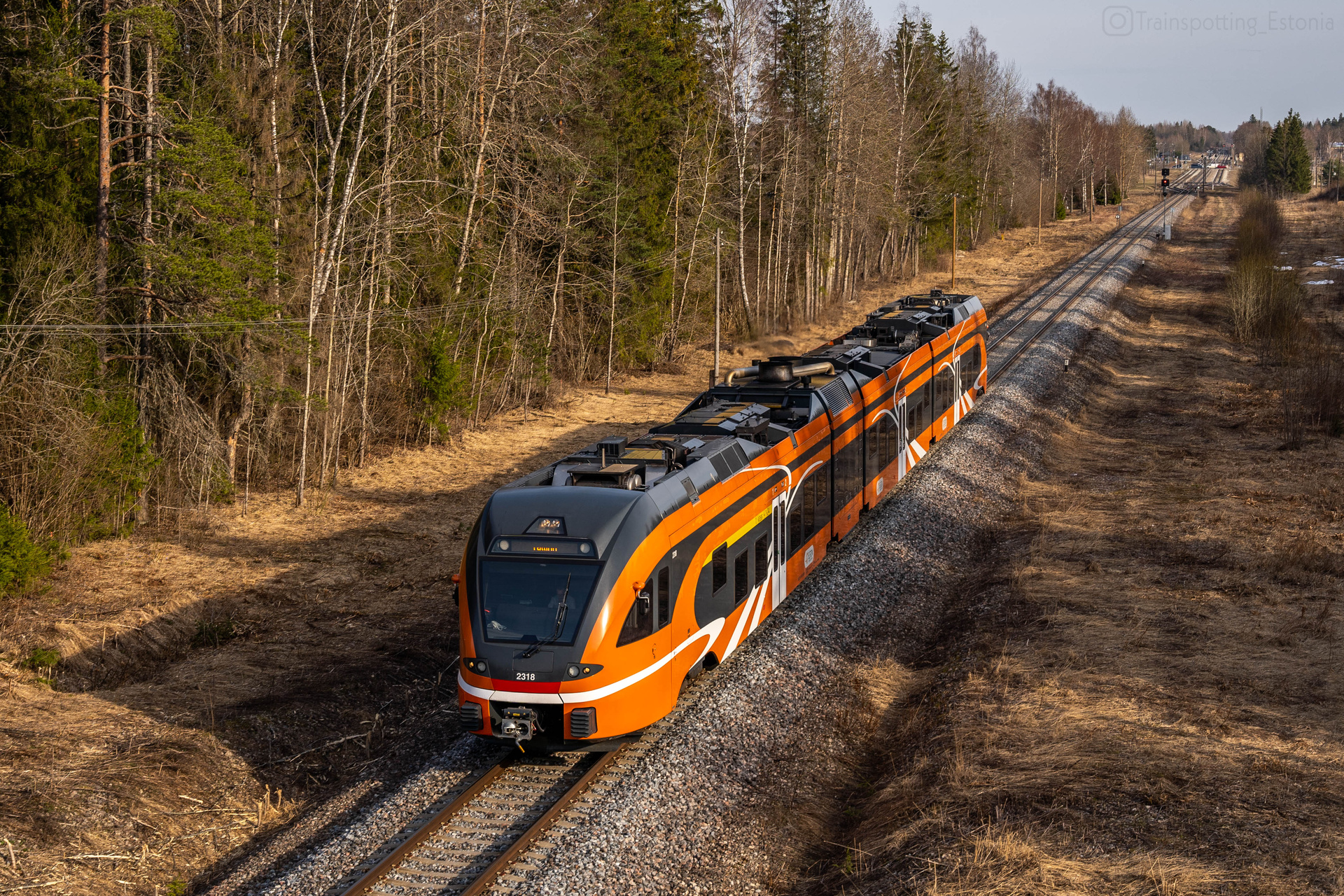 Stadler Flirt 3/8 1520 mm – photo 17