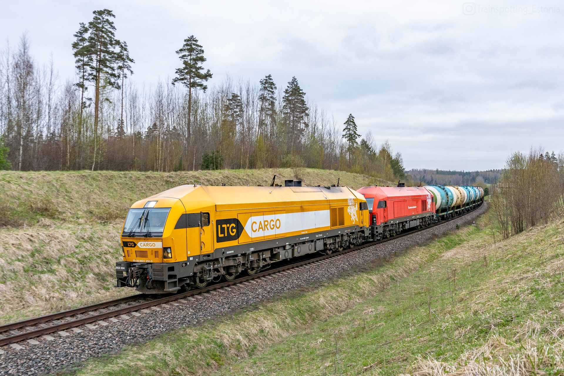 Siemens ER20CF – photo 16
