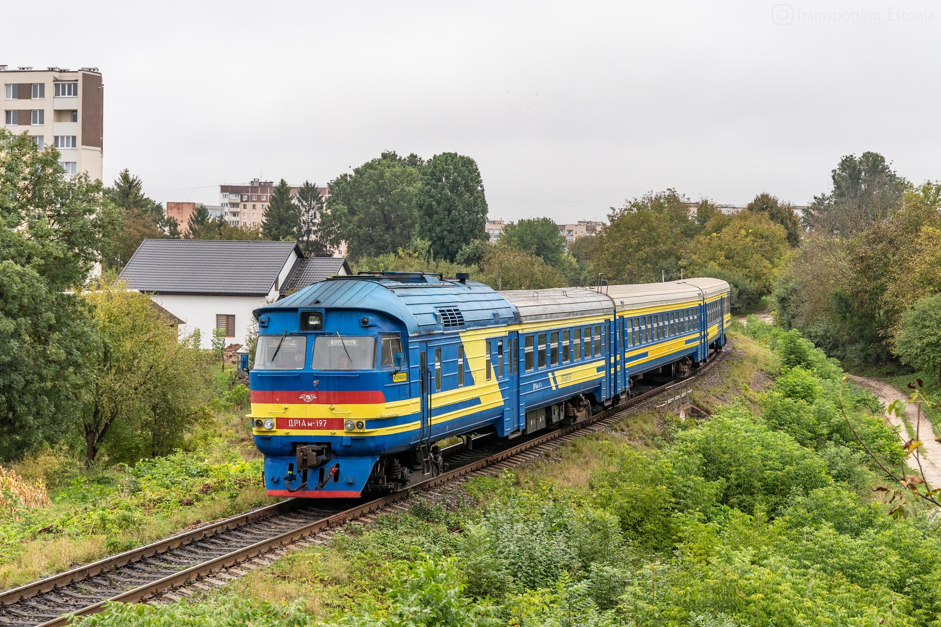 RPM-RRA DR1AM – Foto 2