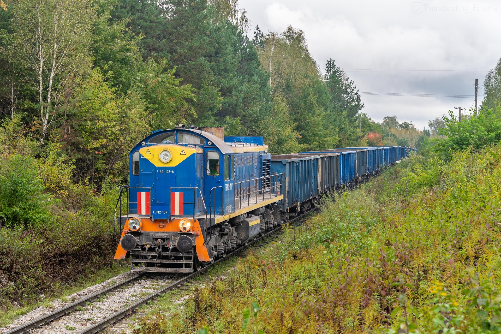 Luhanskteplovoz PKP SM48 / TEM2A – photo 10