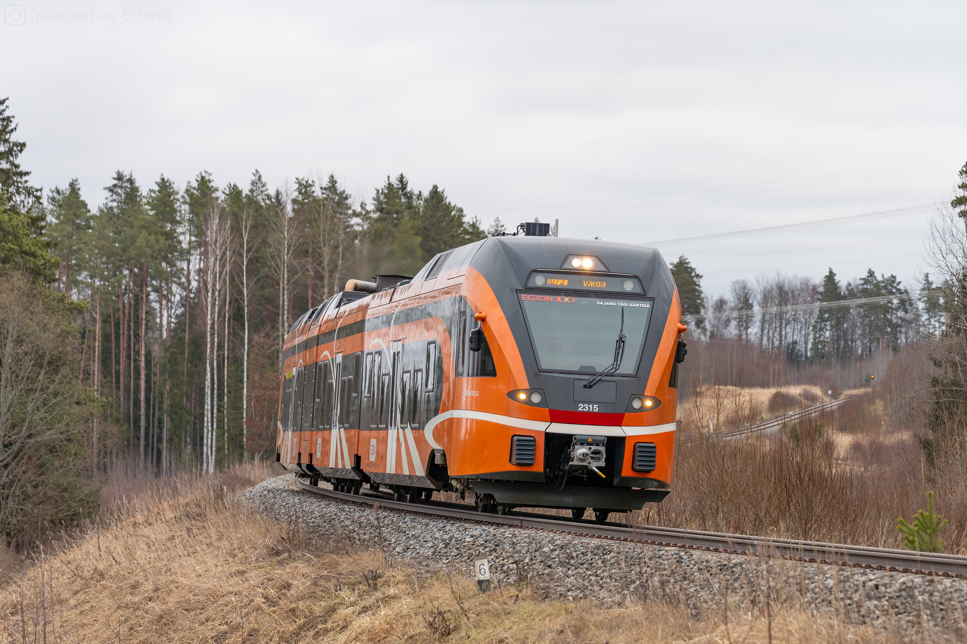 Stadler Flirt 3/8 1520 mm – photo 8