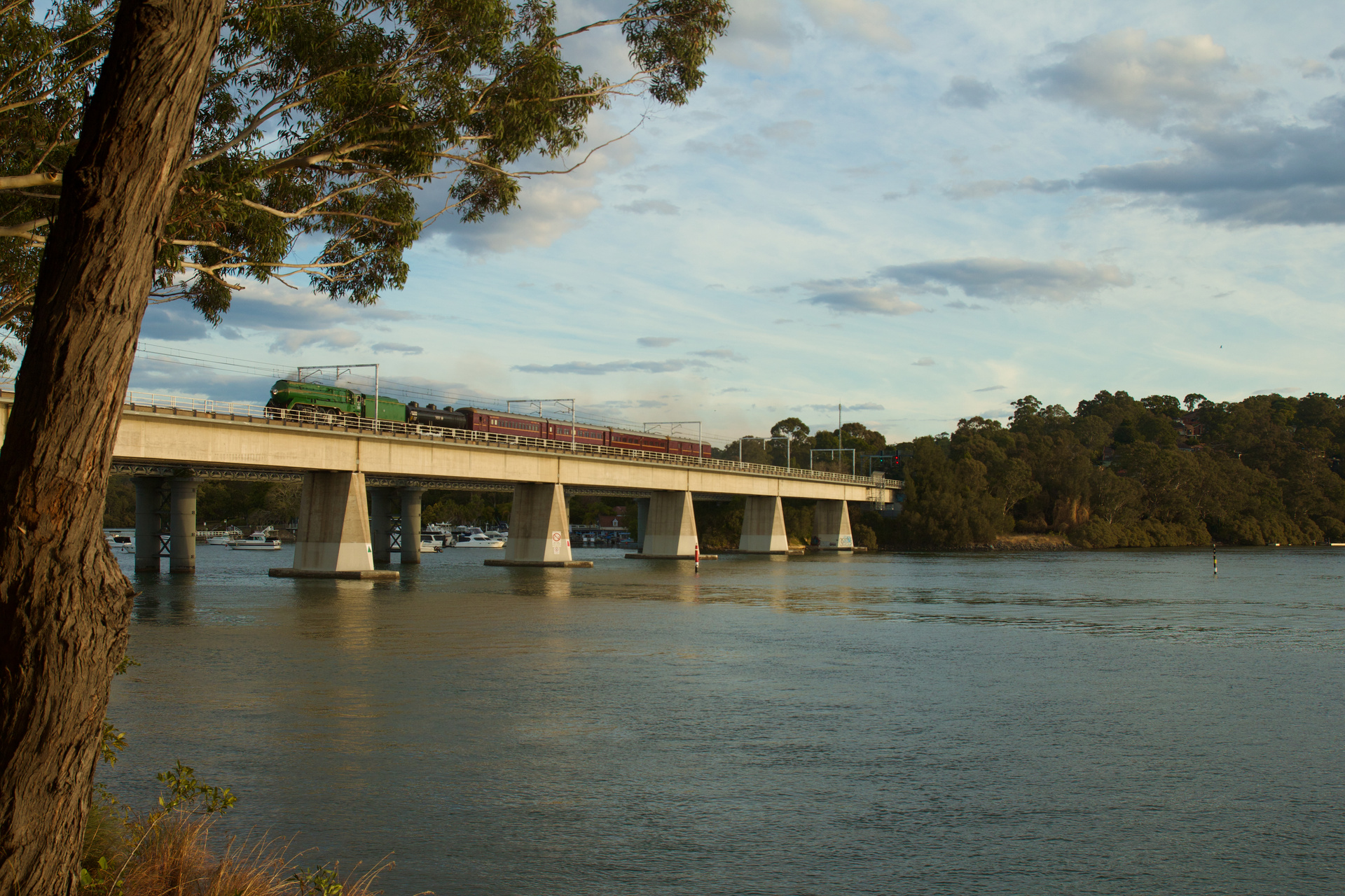 Clyde Engineering NSW C38 – photo 2