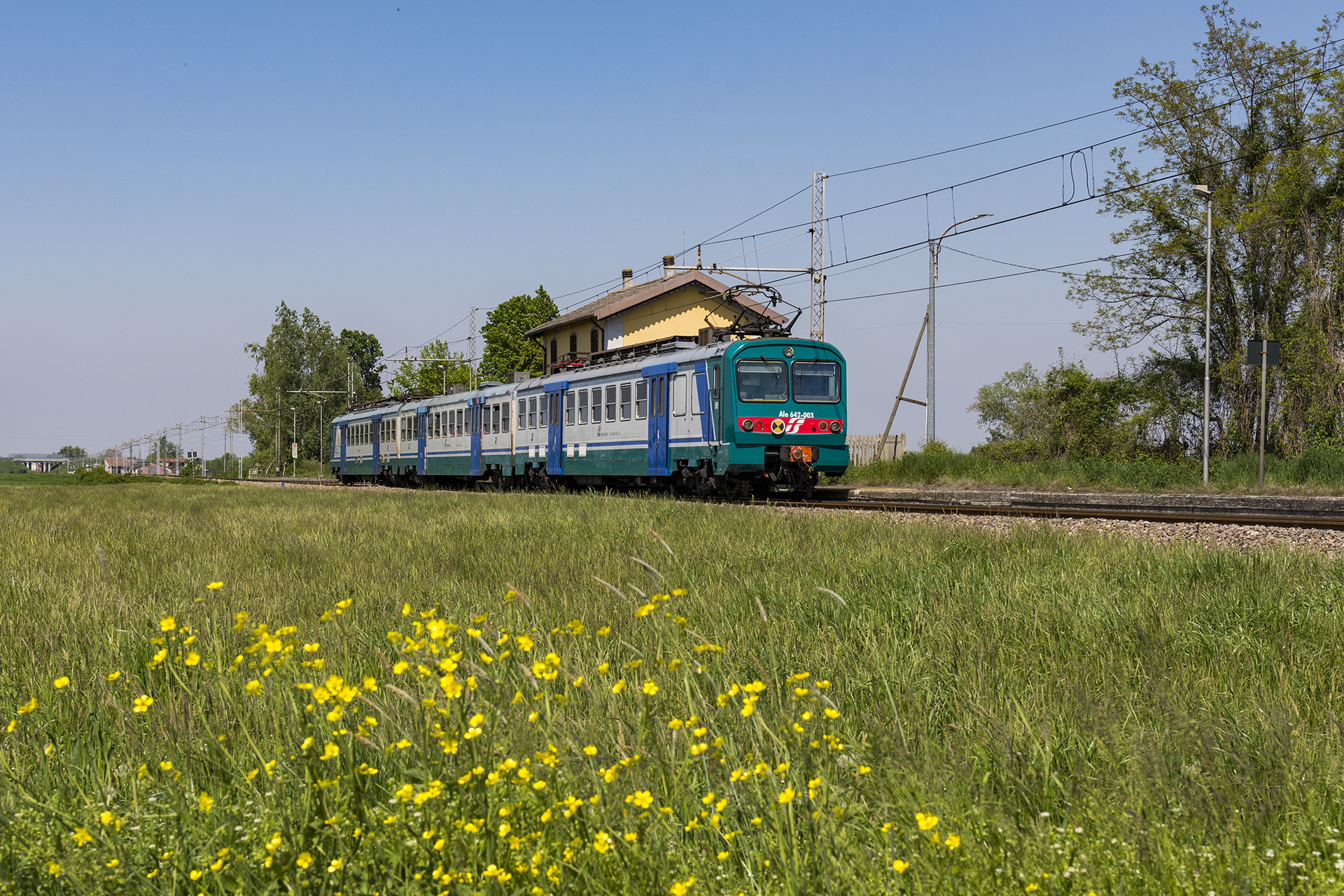 Firema FS ALe 642 – photo 6