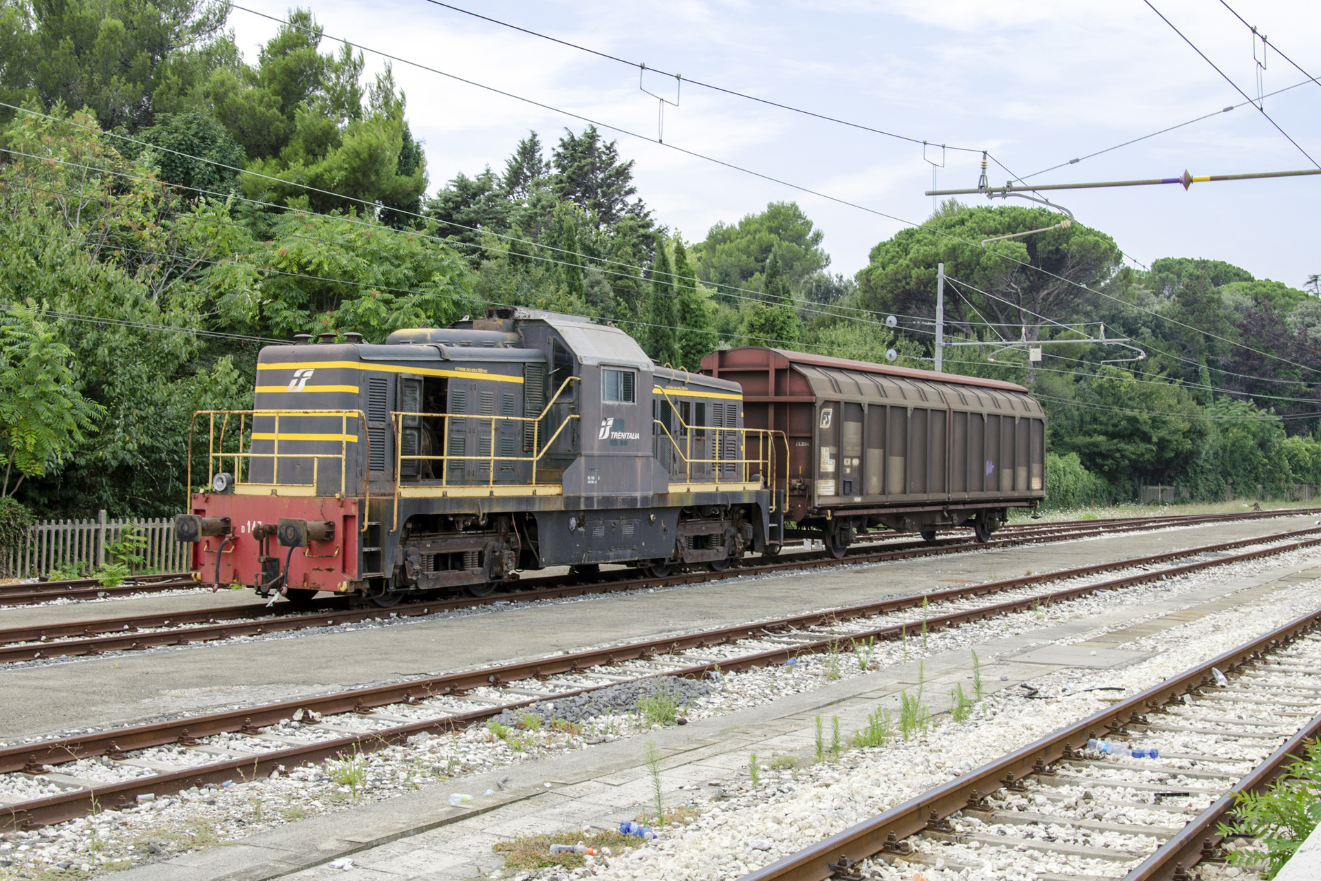 TIBB D143 – photo 4