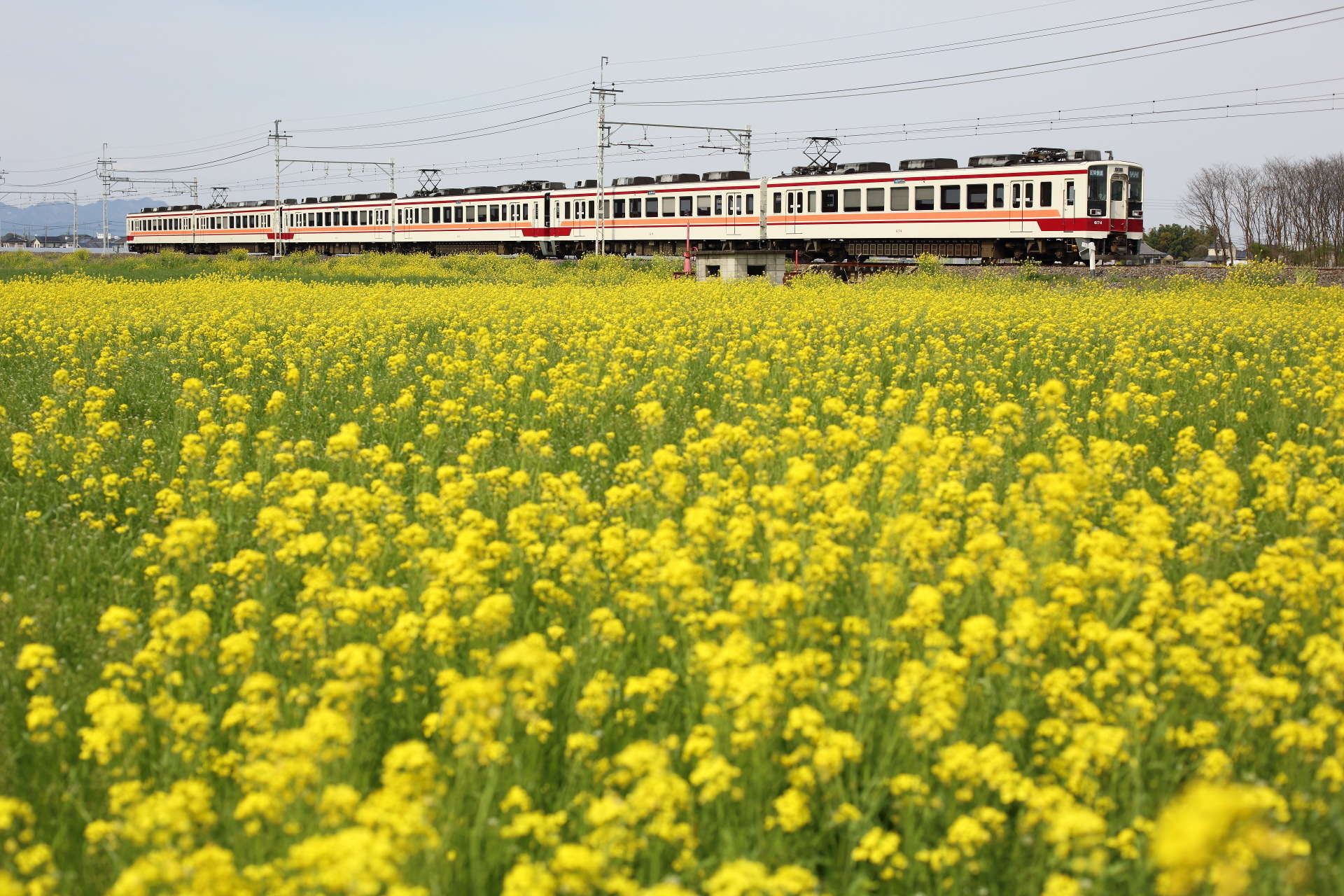 Nippon Sharyo Tobu 6050 series – photo 2