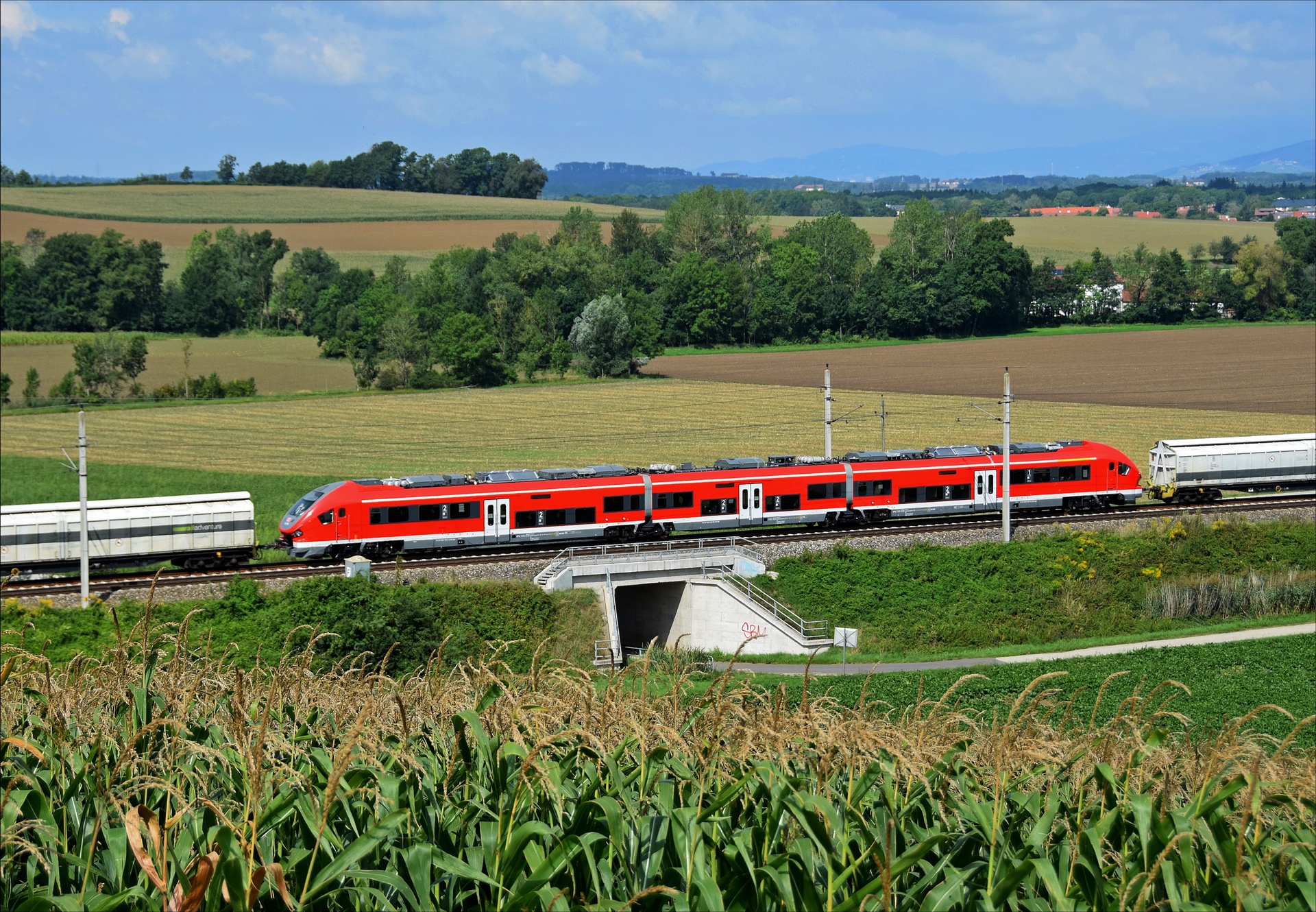 PESA Link 3-Part – foto 8
