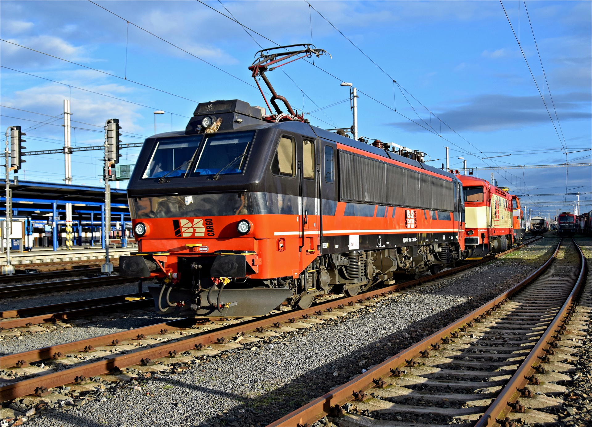 ACEC EffiLiner 3000 – photo 6