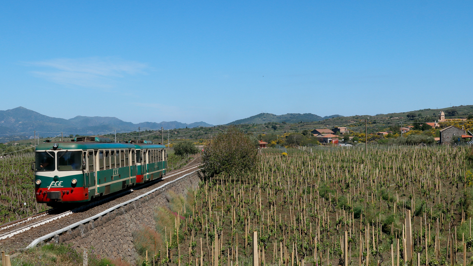 OMS FCE ADe 11-20 – photo 20