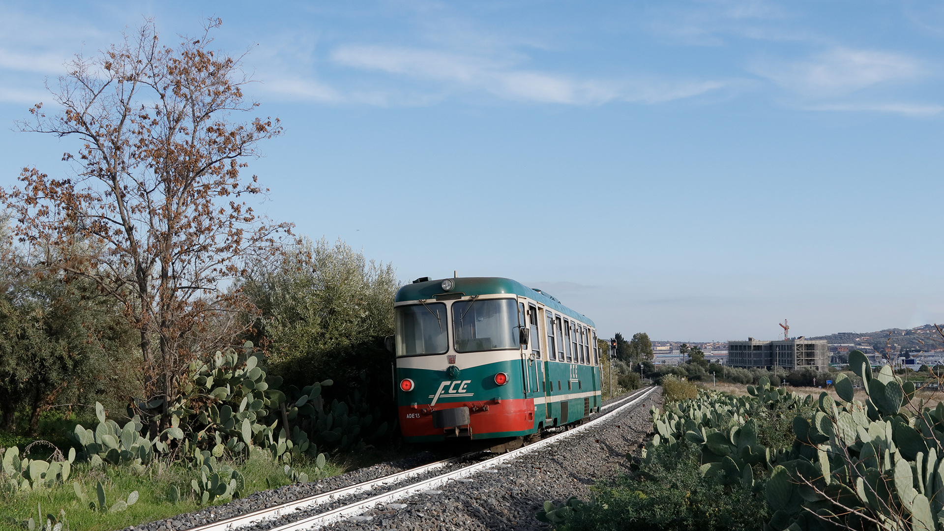 OMS FCE ADe 11-20 – photo 5