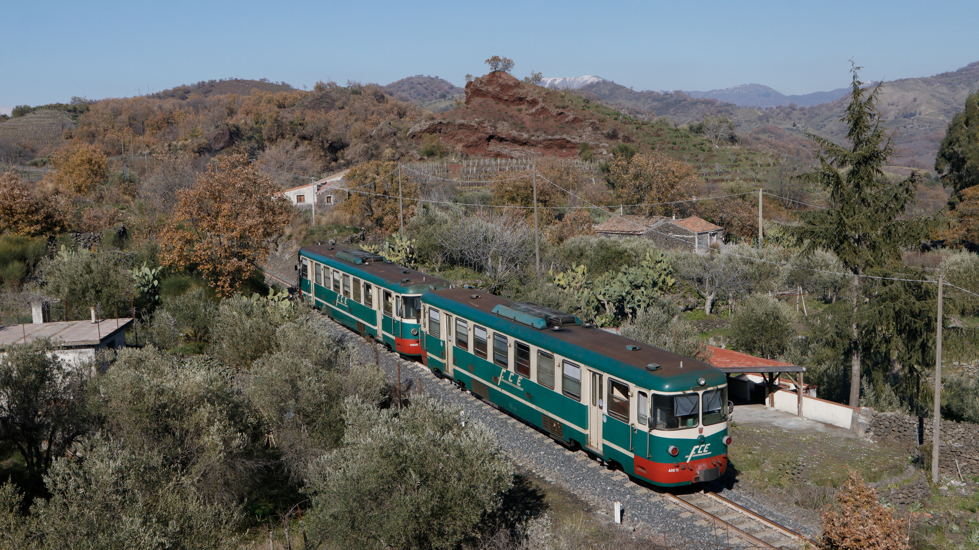 OMS FCE ADe 11-20 – photo 4