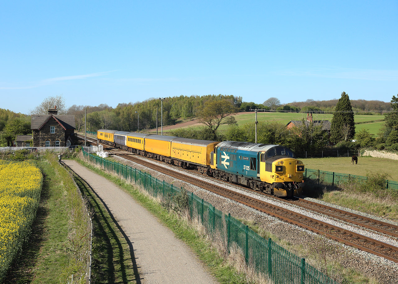 English Electric 37/0 – photo 5