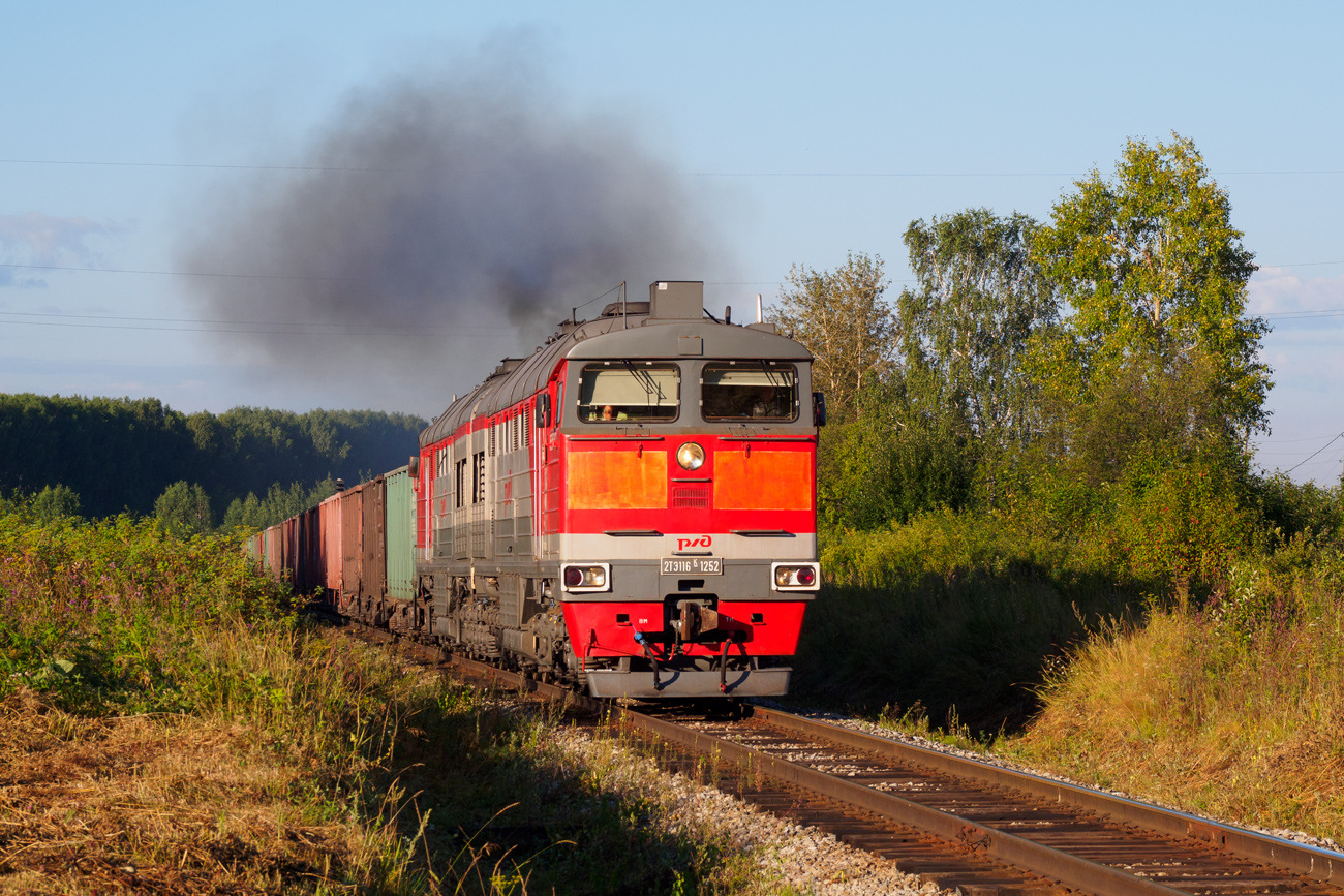 Luhanskteplovoz 2TE116K – photo 3