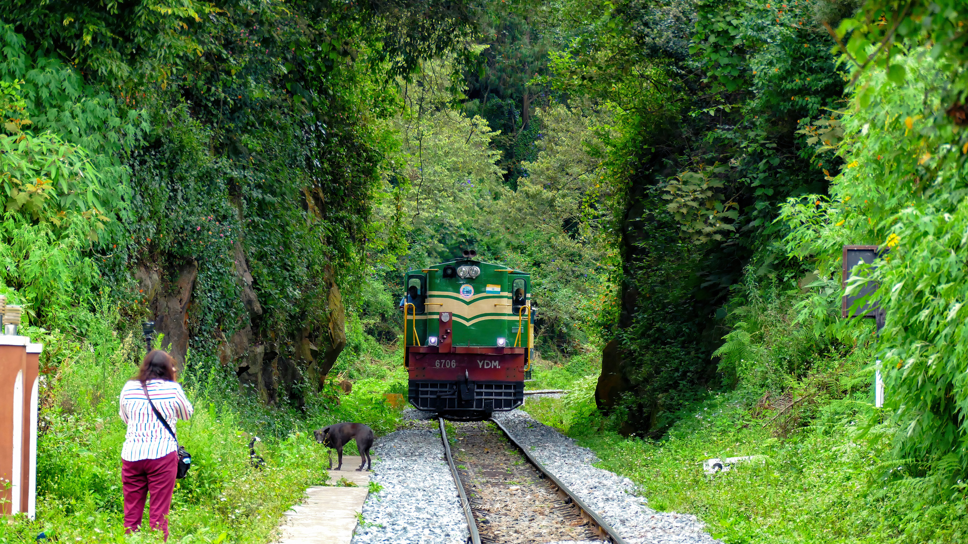 ALCo DL535A – foto 6
