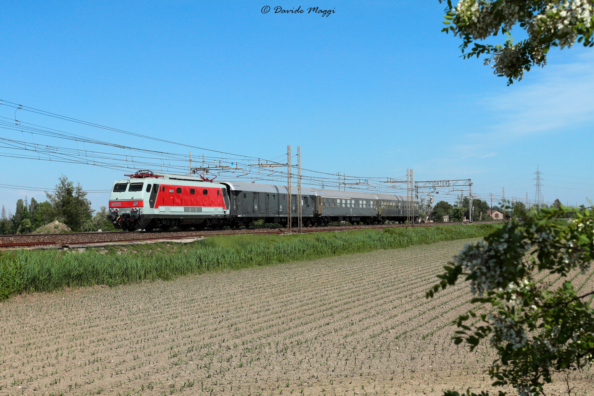 Fiat E444R – photo 16