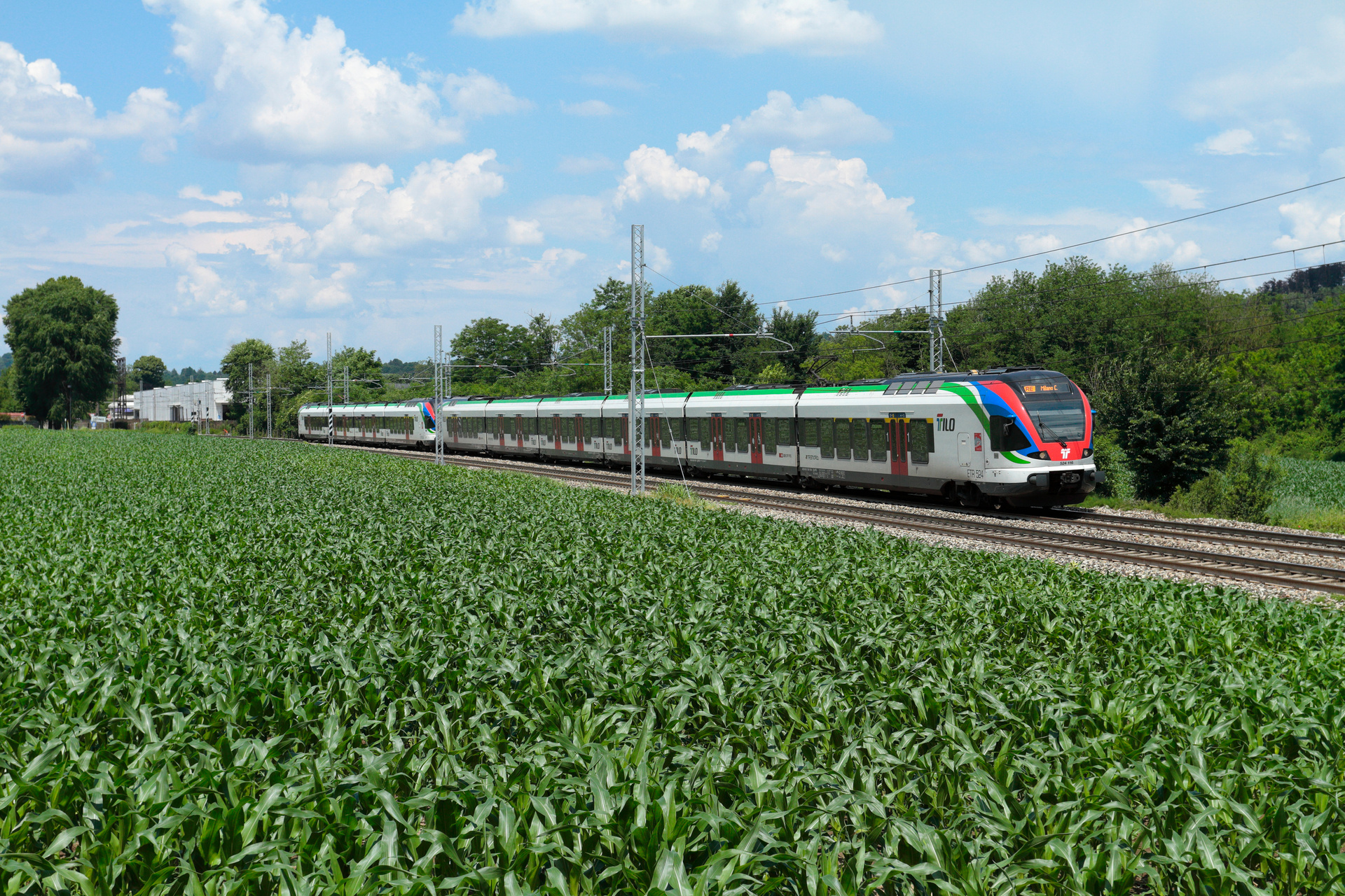 Stadler Flirt 6/14 15 kV+3 kV – photo 17