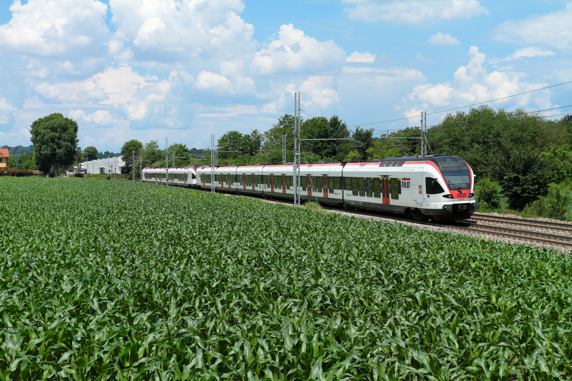 Stadler Flirt 6/14 15 kV+3 kV – photo 16