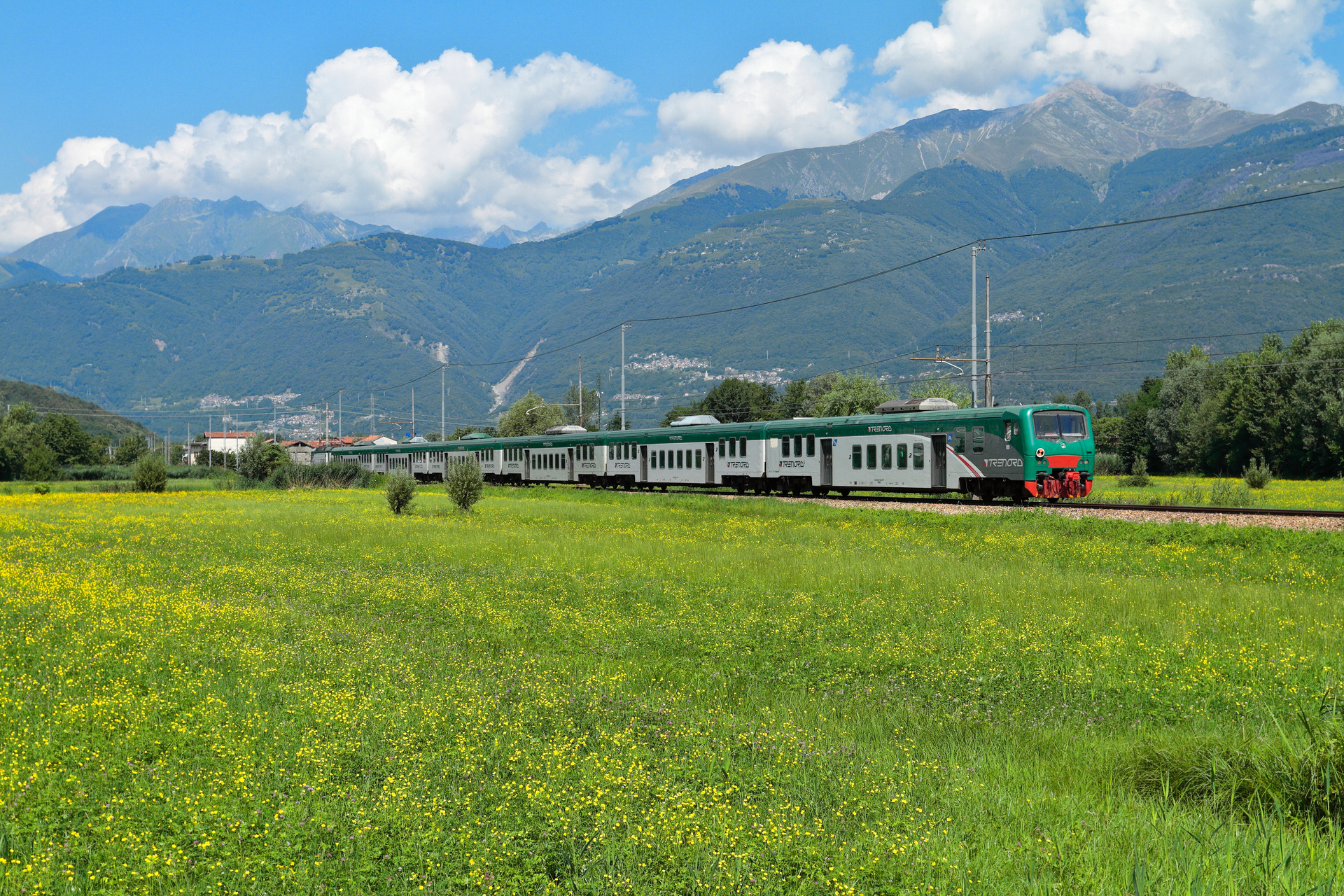 Reggiane npBD 50 83 82-39 – photo 4