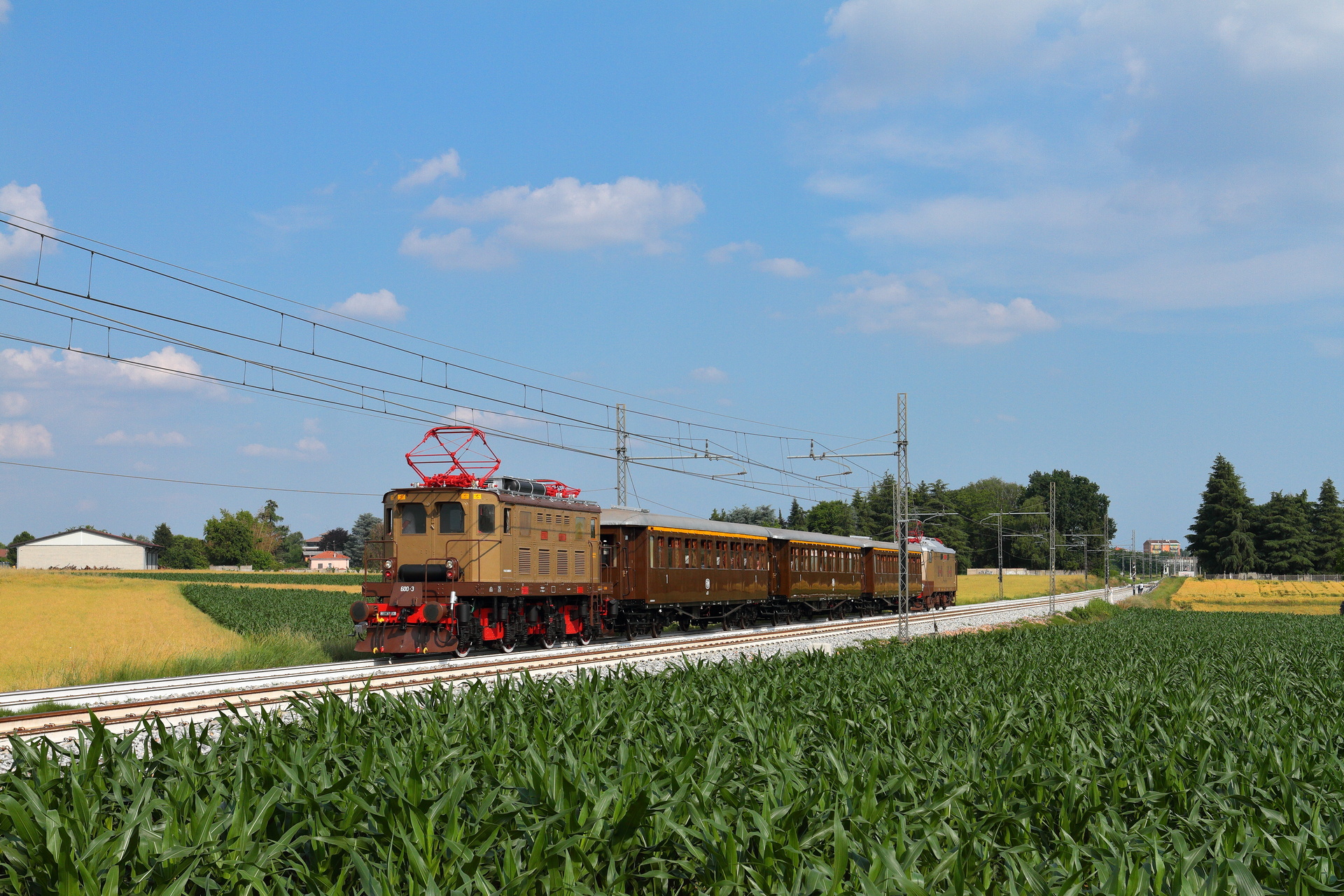 OM E600 – photo 4