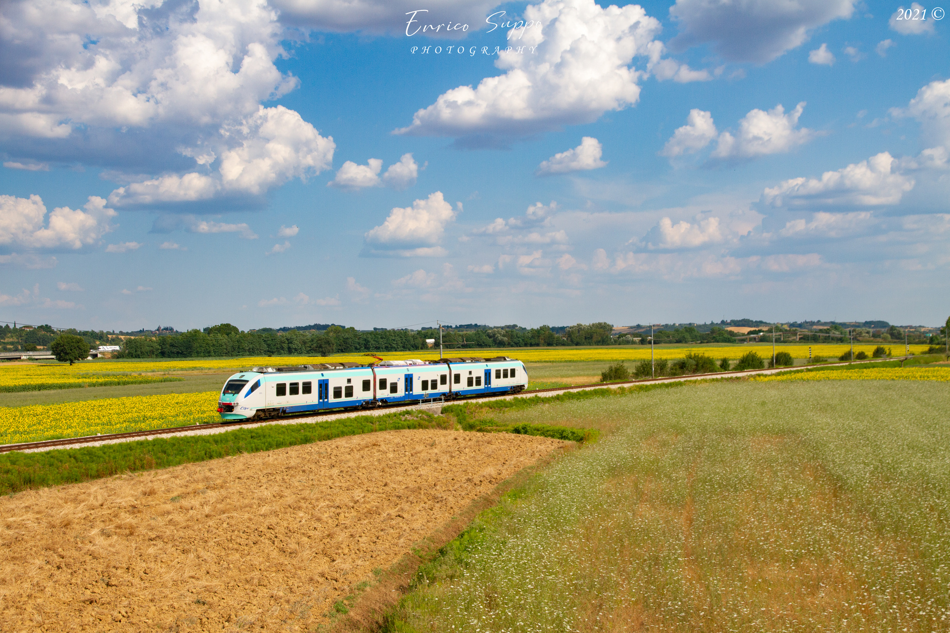 Alstom ALe 501 – photo 24