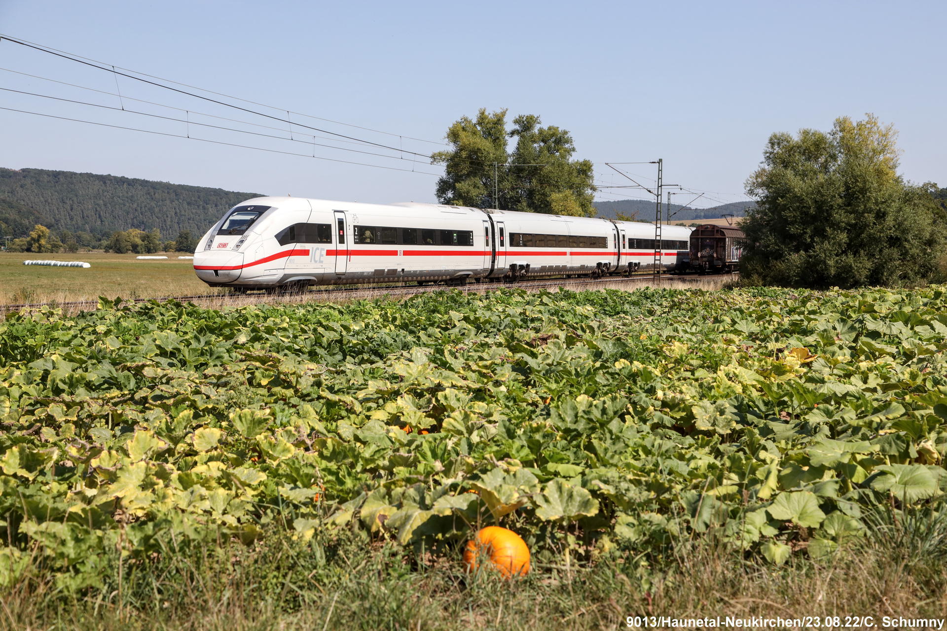 Bombardier ICE 4 – photo 15