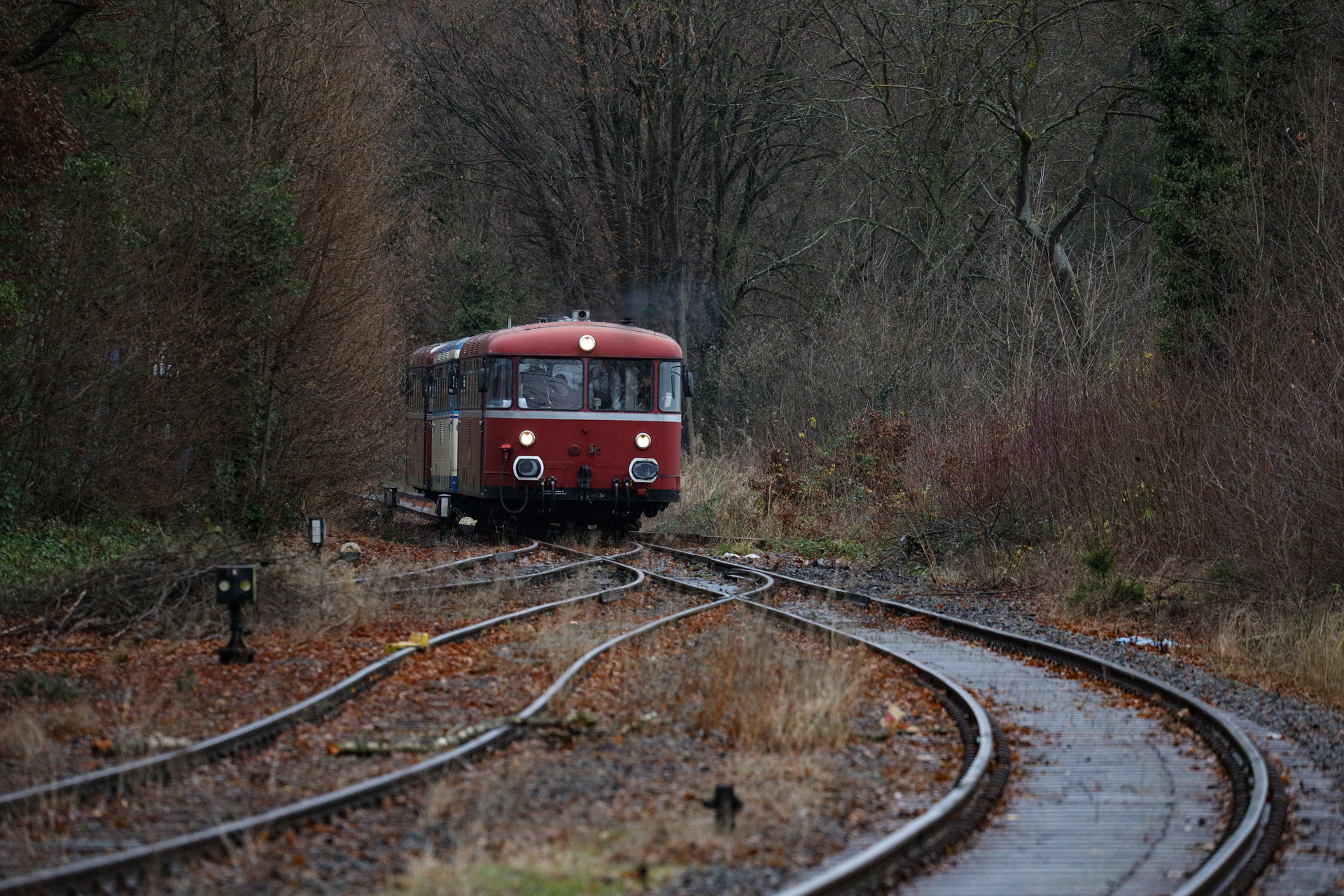 MAN DB 798 – photo 17