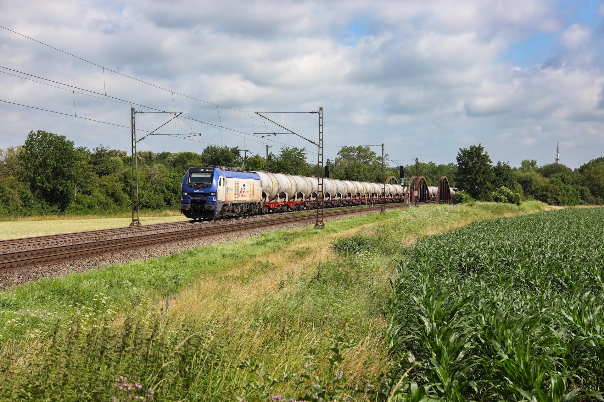 Stadler Euro Dual DE 159 – photo 6